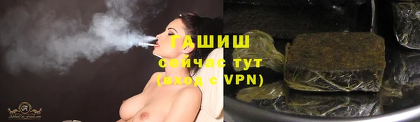 тгк Абаза