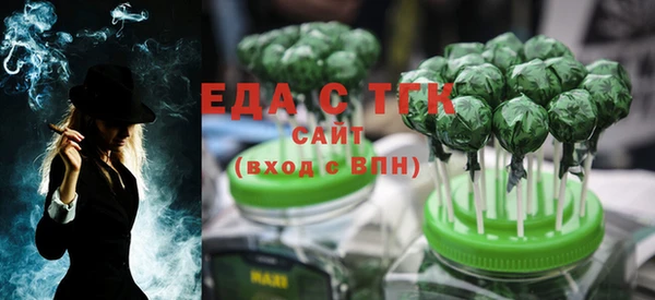 тгк Абаза